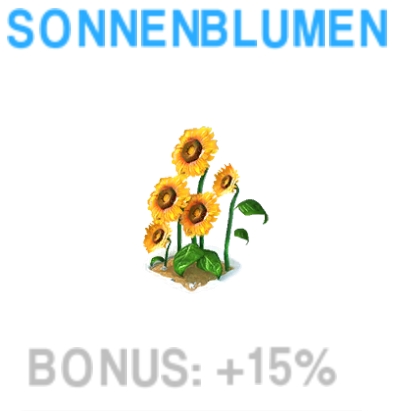 Sonnenblumen           